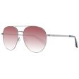 Men s Sunglasses Ted Baker TB1682 57900 Cheap