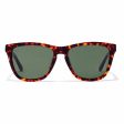 Unisex Sunglasses One X Hawkers Havana Online Hot Sale