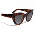 Ladies Sunglasses Hyde Hawkers Brown Hot on Sale