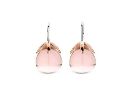 Woman s charm link Ti Sento 7769NU Earrings Sale