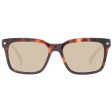 Men s Sunglasses Ted Baker TB1696 54101 on Sale