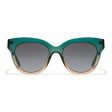 Ladies Sunglasses Audrey Hawkers Green Golden For Discount