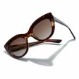 Ladies Sunglasses Hyde Hawkers Dark brown Sale