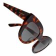 Ladies Sunglasses Hyde Hawkers Brown Hot on Sale