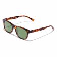 Unisex Sunglasses Nº35 Hawkers Brown Green Sale