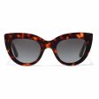 Ladies Sunglasses Hyde Hawkers Brown Hot on Sale