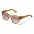 Ladies Sunglasses Hyde Hawkers Pink Supply