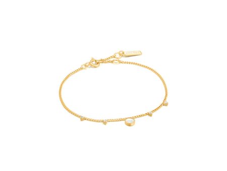 Ladies  Bracelet Ania Haie B022-03G 19 cm on Sale