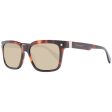 Men s Sunglasses Ted Baker TB1696 54101 on Sale