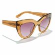 Ladies Sunglasses Hyde Hawkers Pink Supply