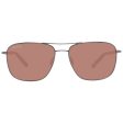 Men s Sunglasses Serengeti 8799-AU 58 Online now